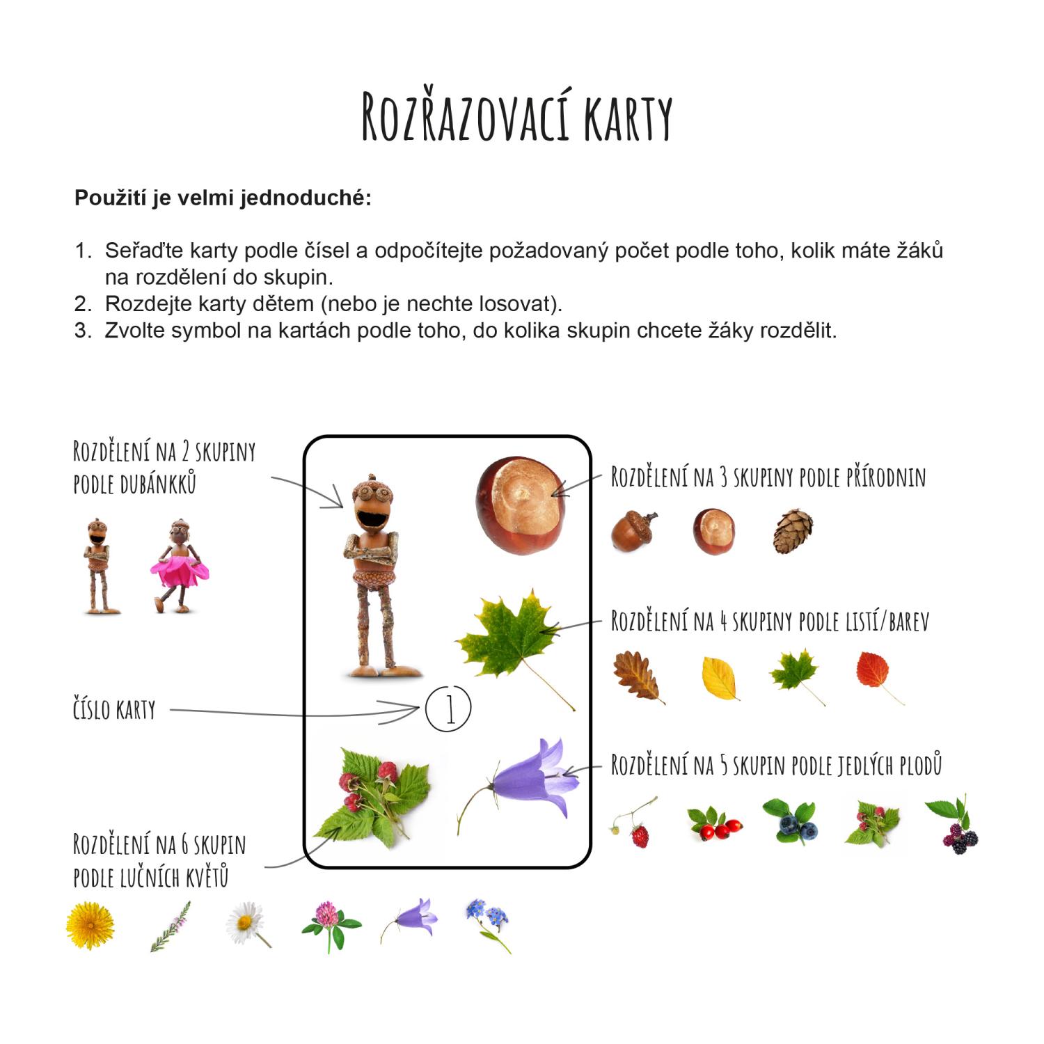 Rozřazovací karty pro rozdělení do skupin – obrázek 2