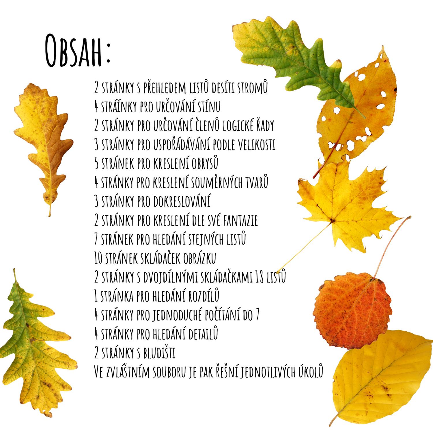 Pracovní sešit s podzimními listy – obrázek 3