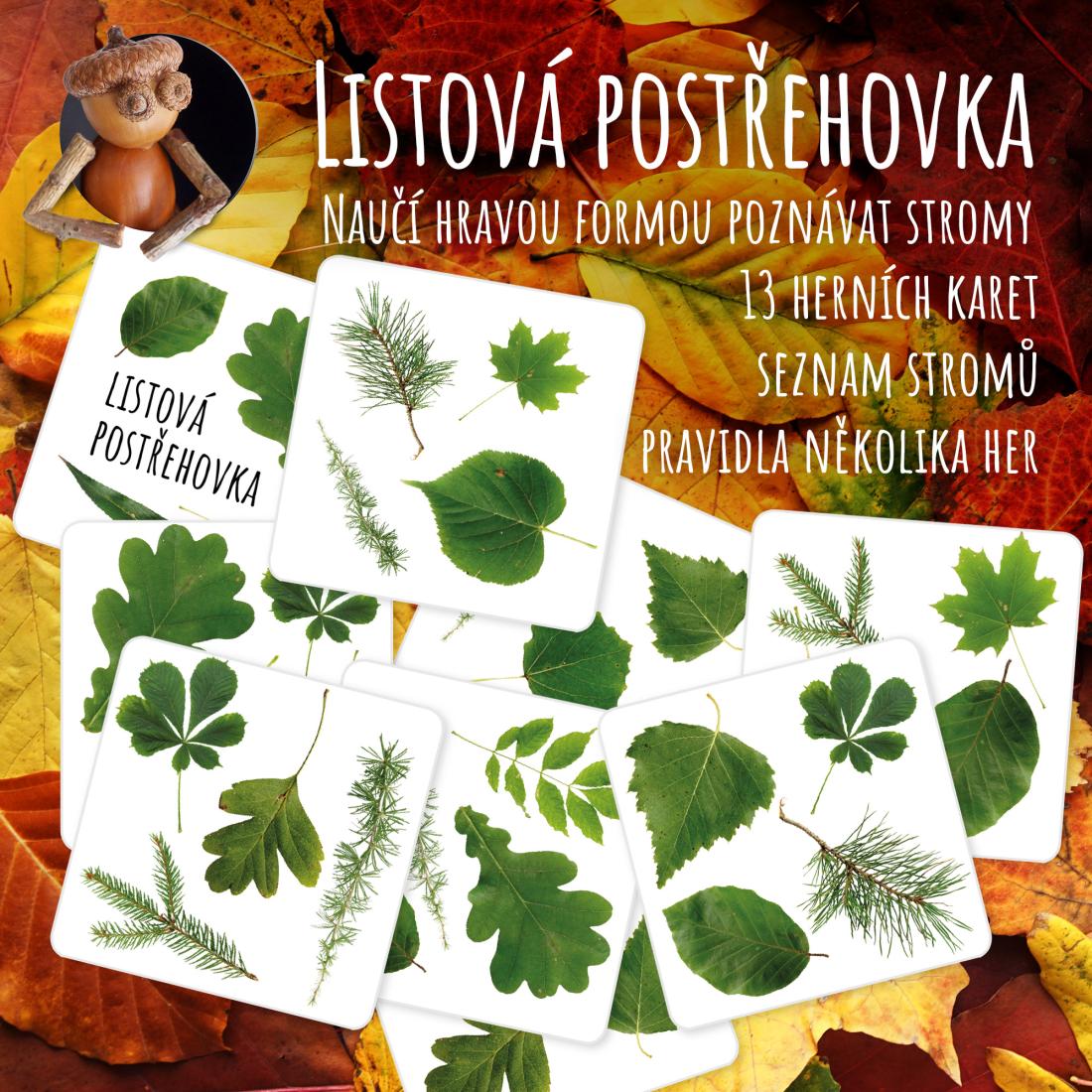 Postřehovka s listy