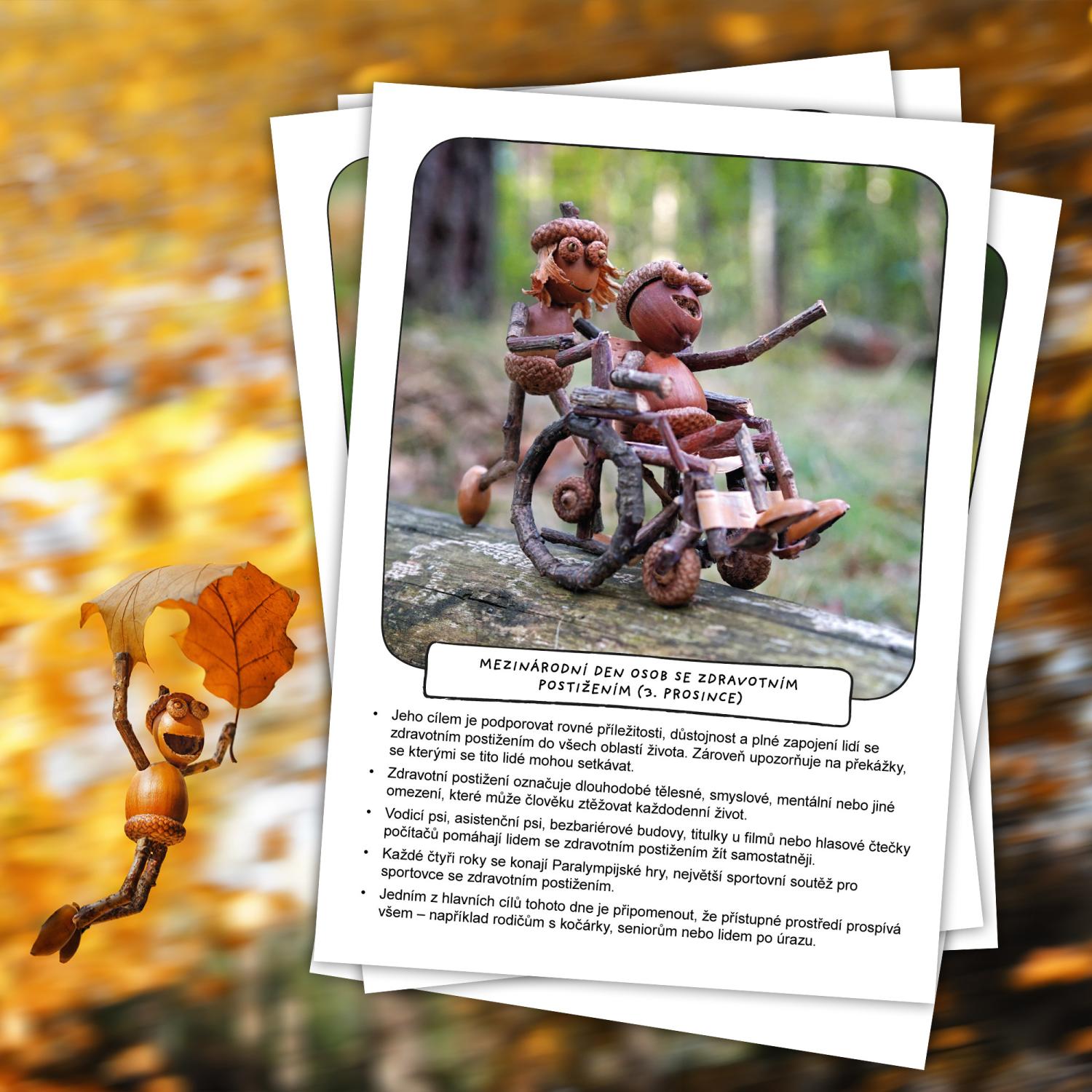Zajímavosti na nástěnku: Světové dny – listopad a prosinec – obrázek 4