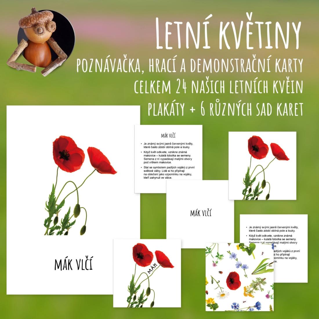 Letní květiny - poznávačka, hrací a demonstrační karty