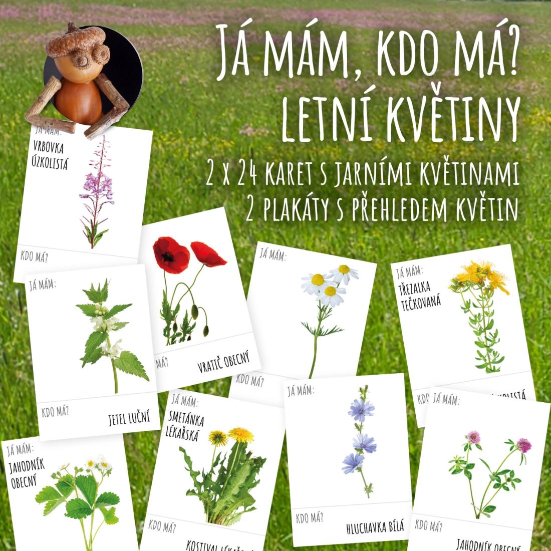 Letní květiny - já mám, kdo má?