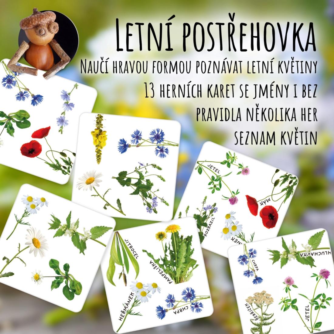 Letní květiny - postřehovka