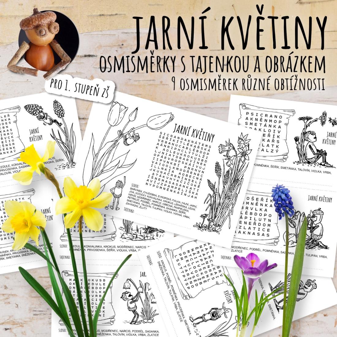 Jarní květiny - osmisměrky s tajenkou a obrázkem