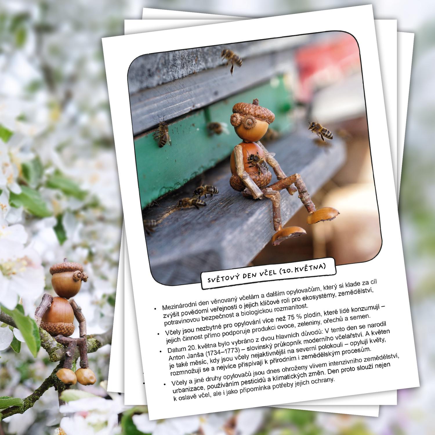 Zajímavosti na nástěnku: Světové dny – květen a červen – obrázek 2