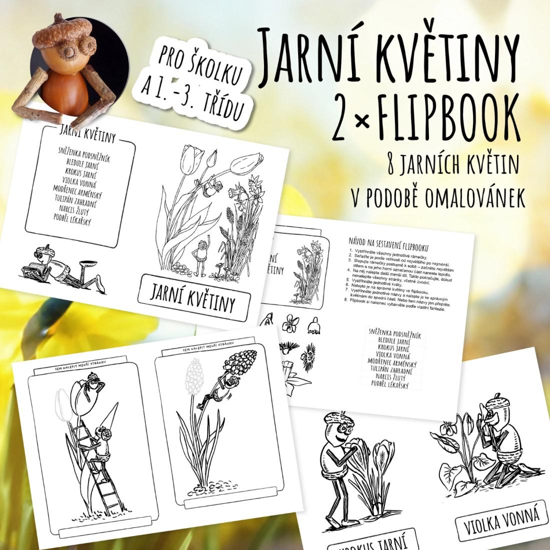 Jarní květiny s dubánky – 2 flipbooky s omalovánkami pro poznávání květin