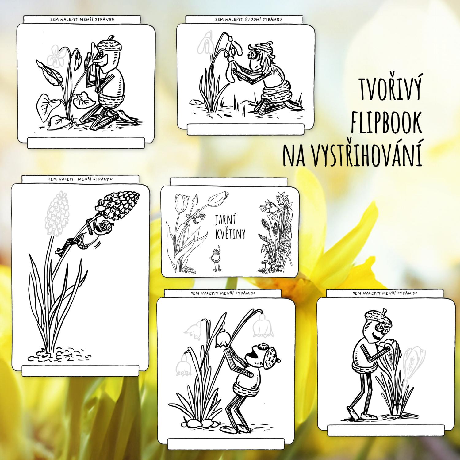Jarní květiny s dubánky – 2 flipbooky s omalovánkami pro poznávání květin – obrázek 3