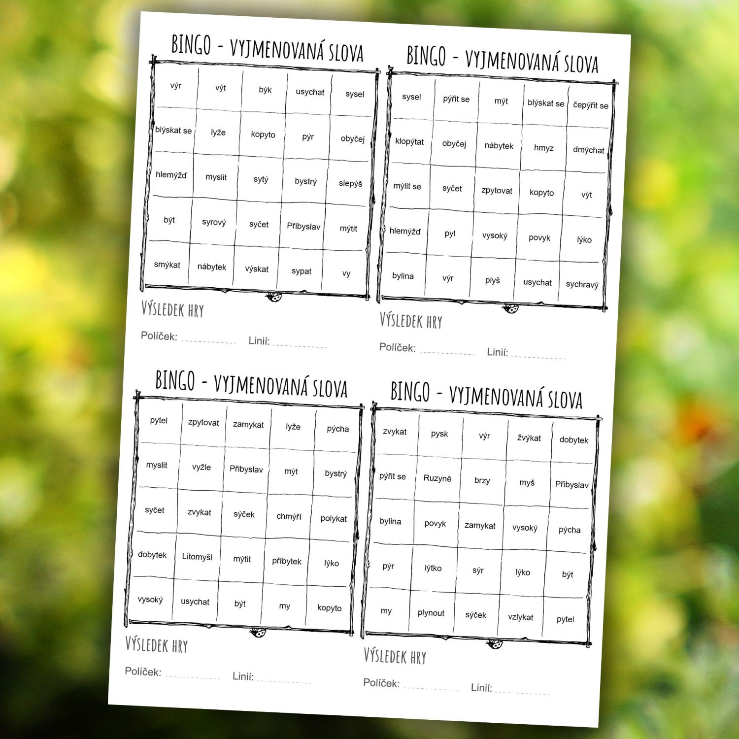 Dubánčí BINGO - vyjmenovaná slova – obrázek 2