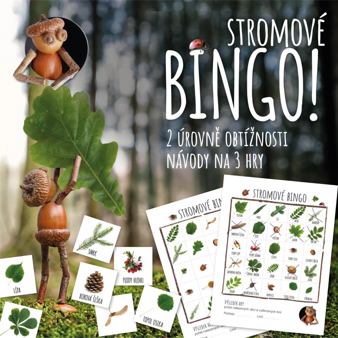Stromové bingo - poznáváme naše stromy