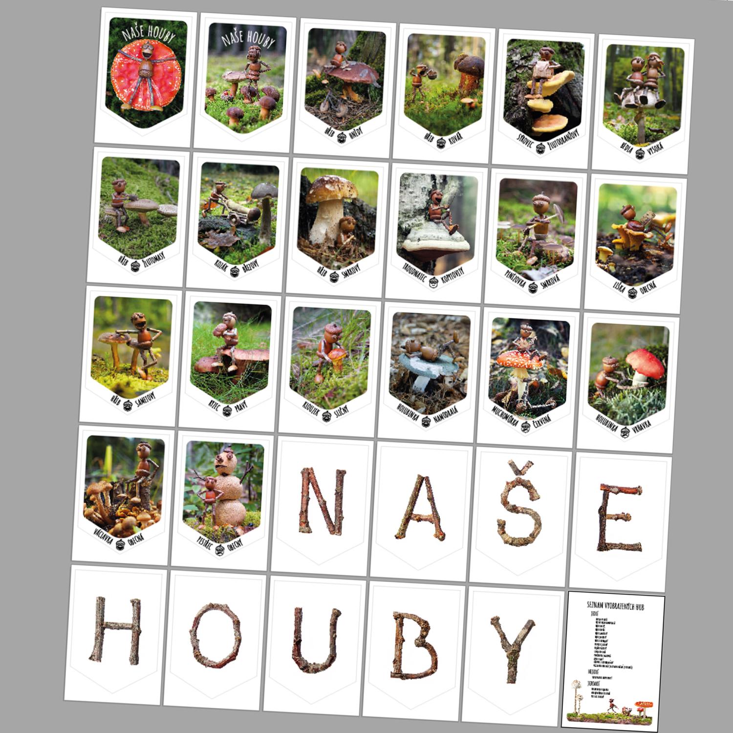 Naše houby - girlanda – obrázek 3