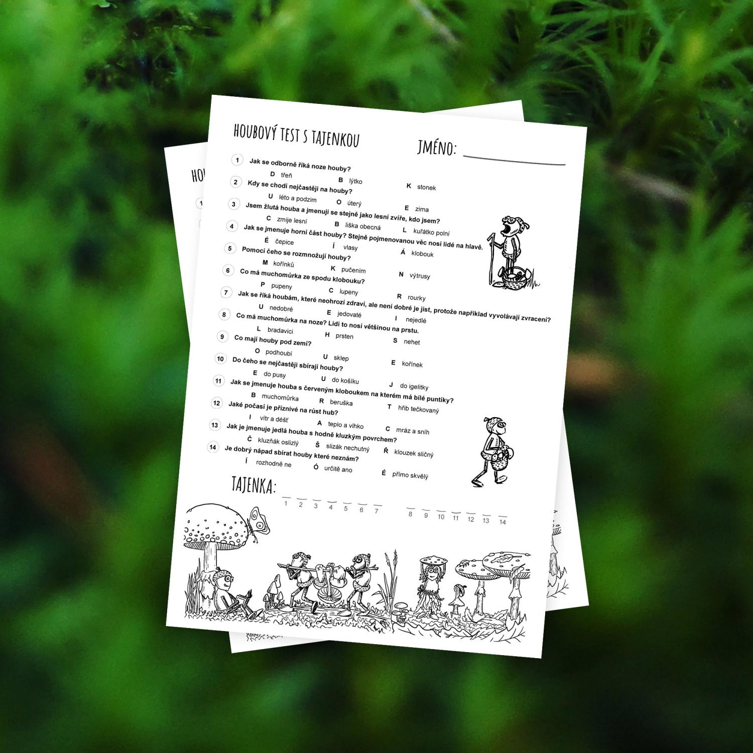 Houby - hrací, poznávací a demonstrační karty + pracovní list s tajenkou – obrázek 3