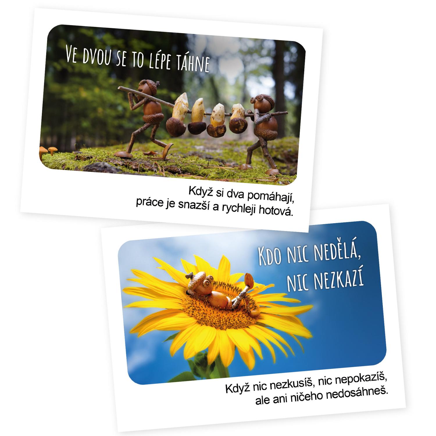 Přísloví s dubánky - plakáty – obrázek 2