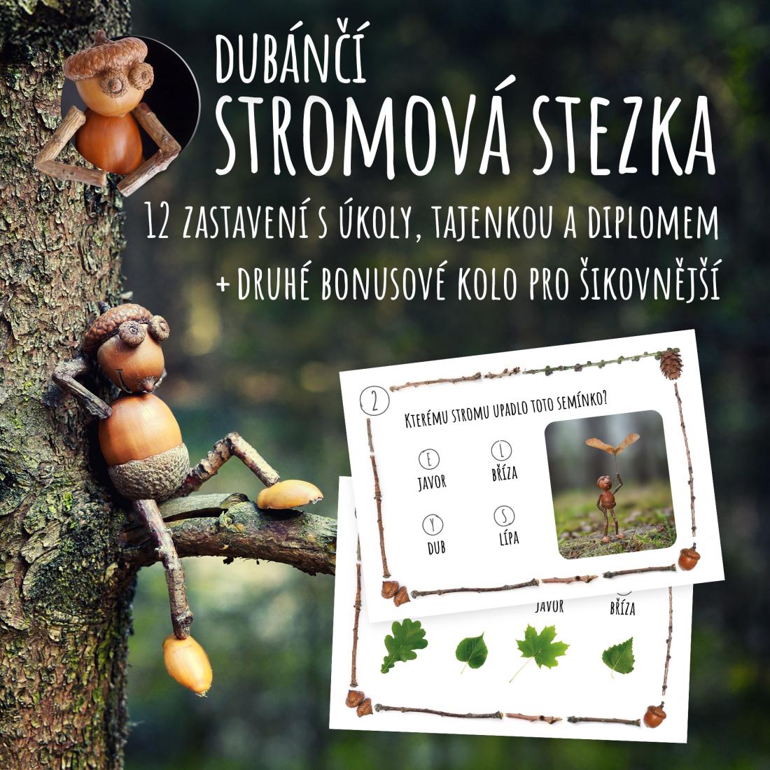 Dubánčí stromová stezka