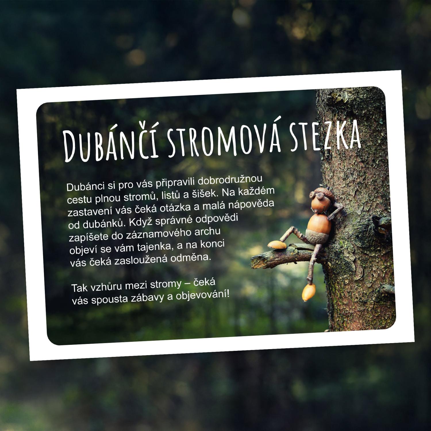 Dubánčí stromová stezka – obrázek 2