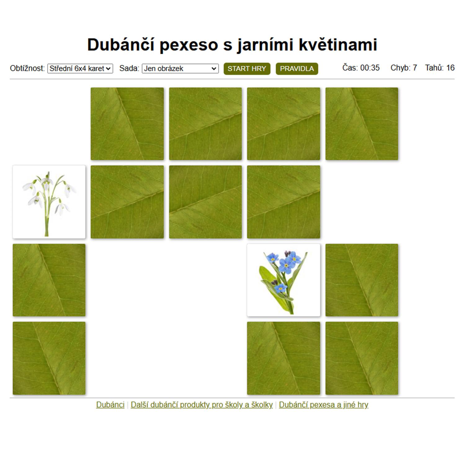 Jarní květiny - online pexeso – obrázek 2