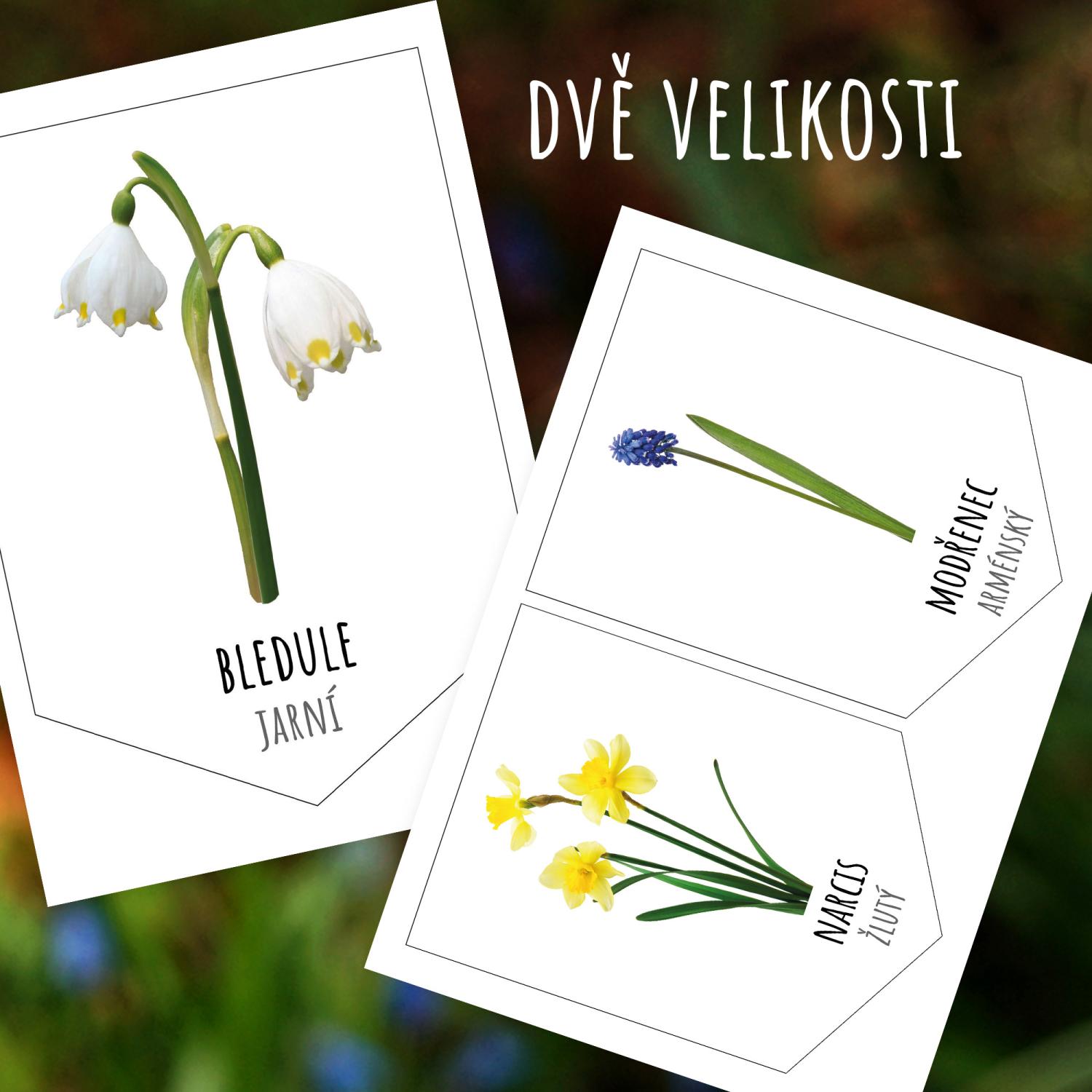 Jarní květiny - Girlanda s nápisem JARO – obrázek 3