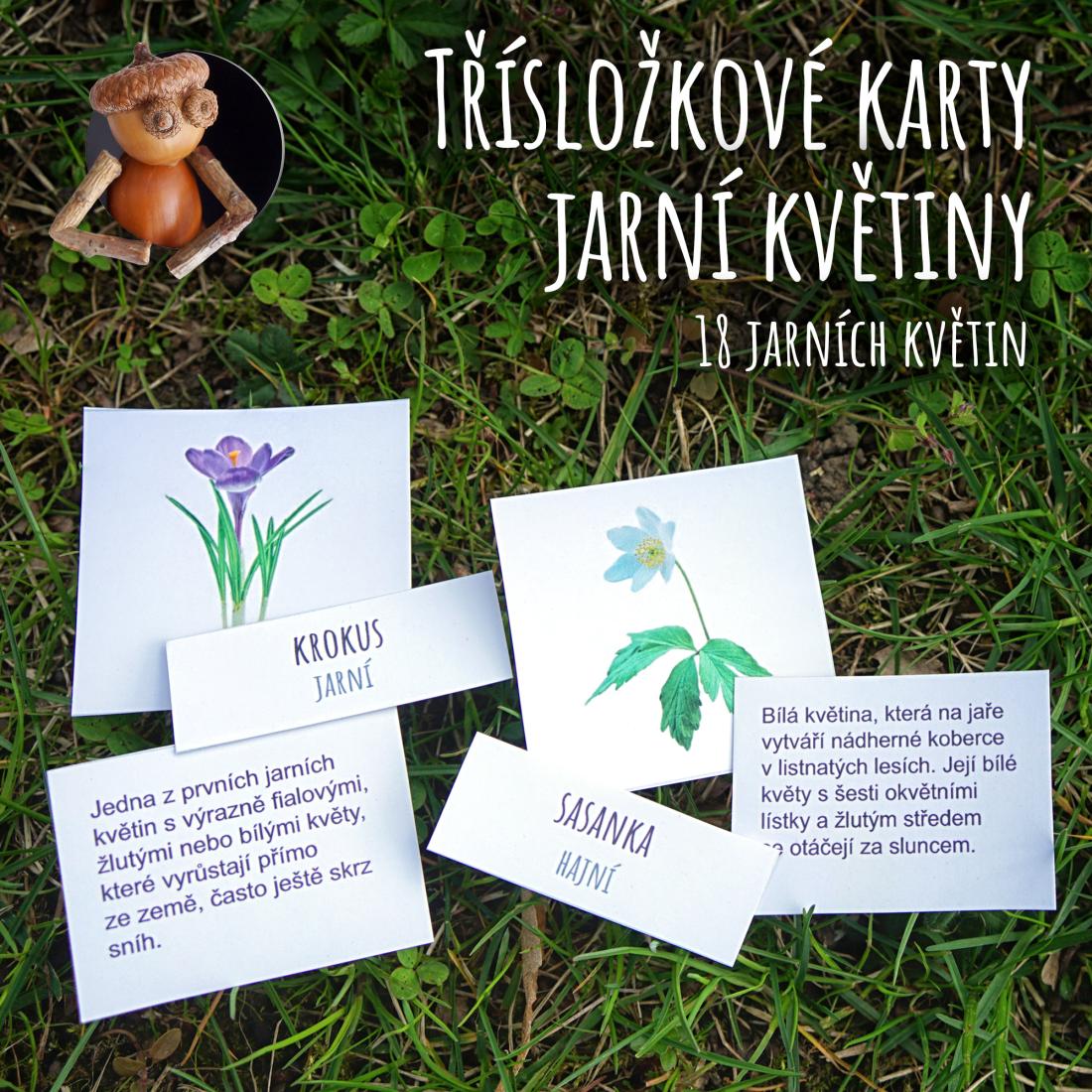Jarní květiny - třísložkové karty