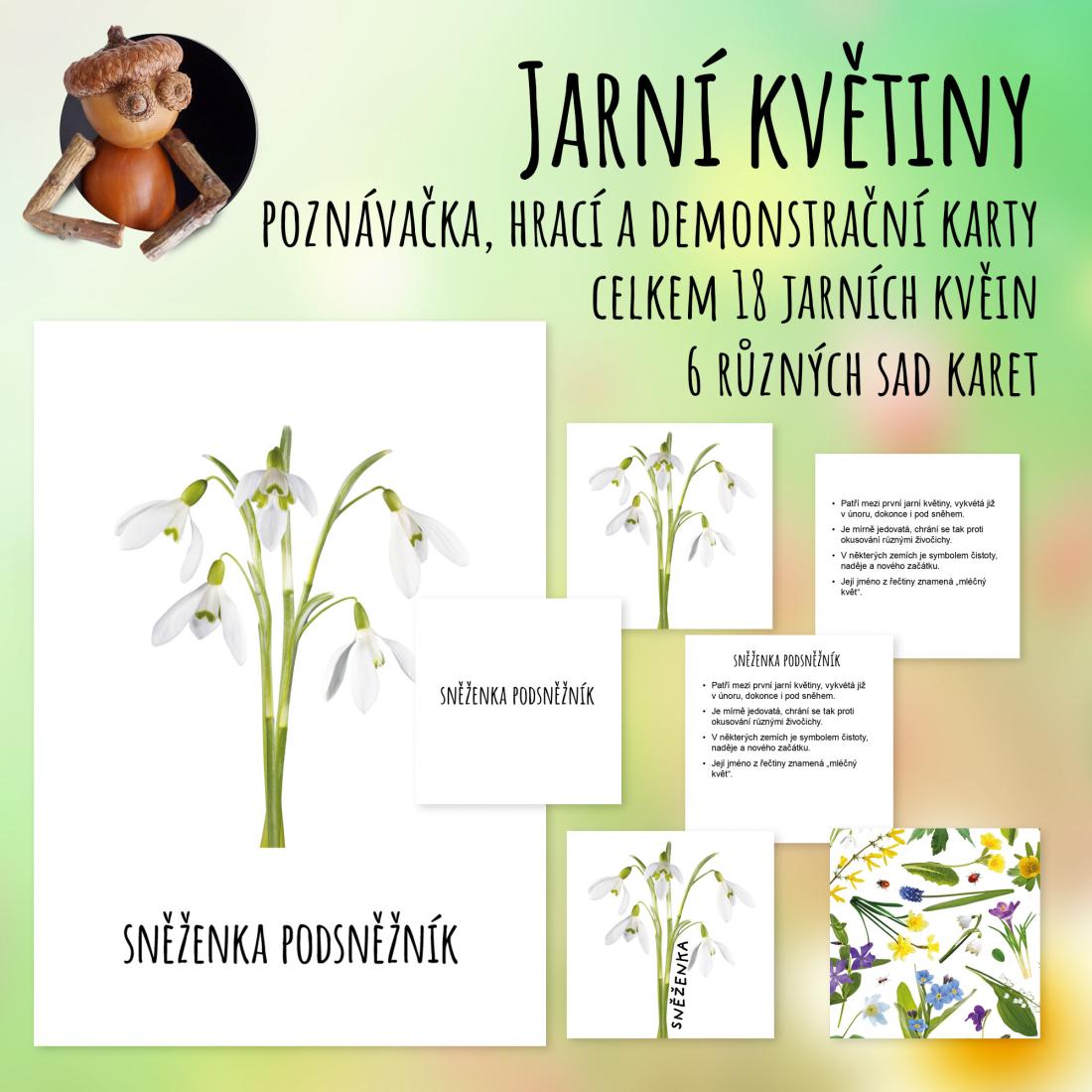 Jarní květiny - poznávačka, hrací a demonstrační karty