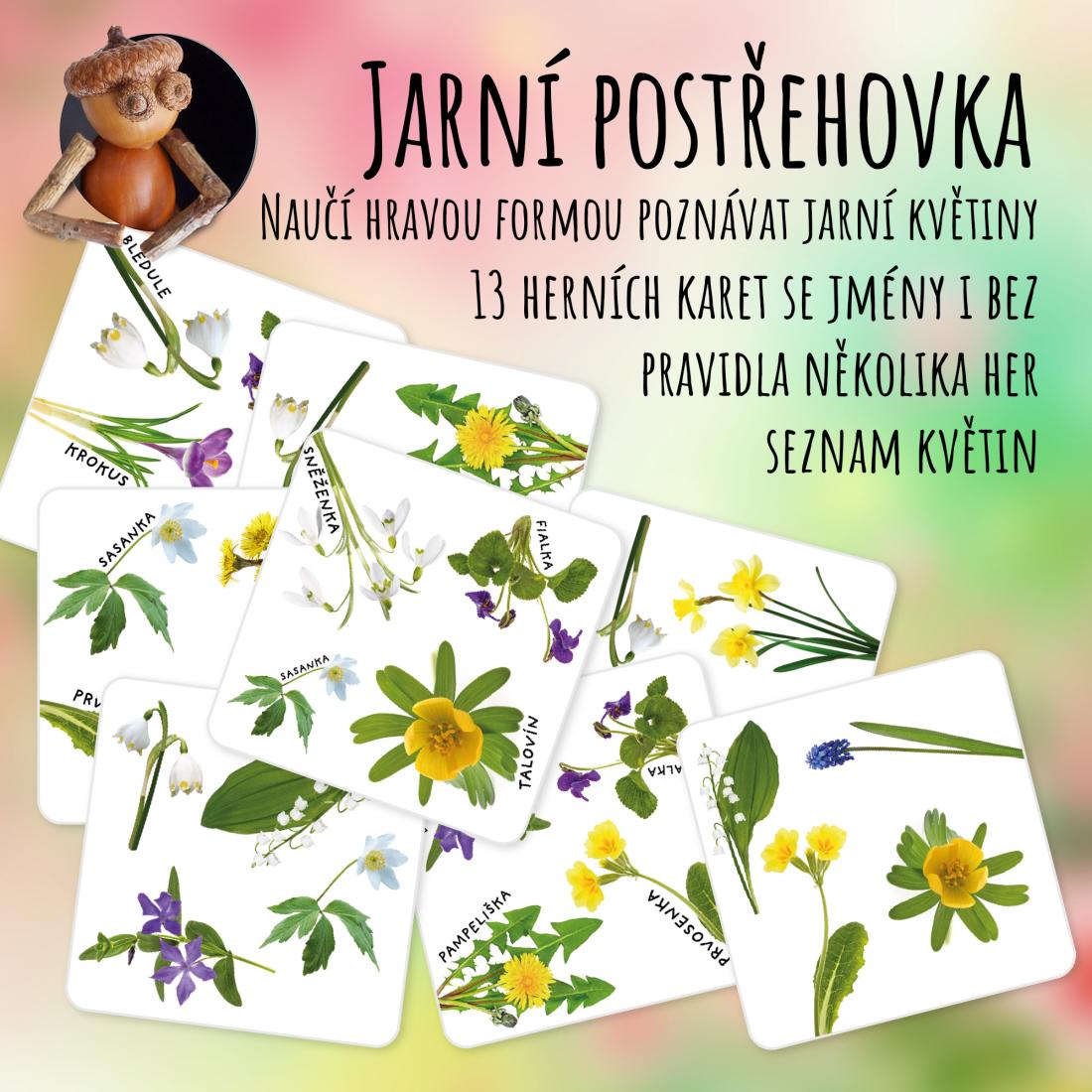 Postřehovka s jarními květinami