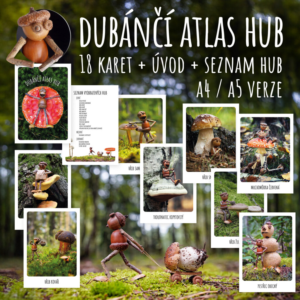 Dubánčí atlas hub