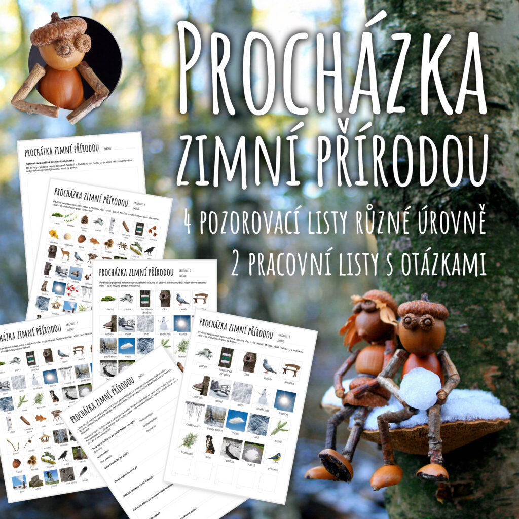 Procházka zimní přírodou