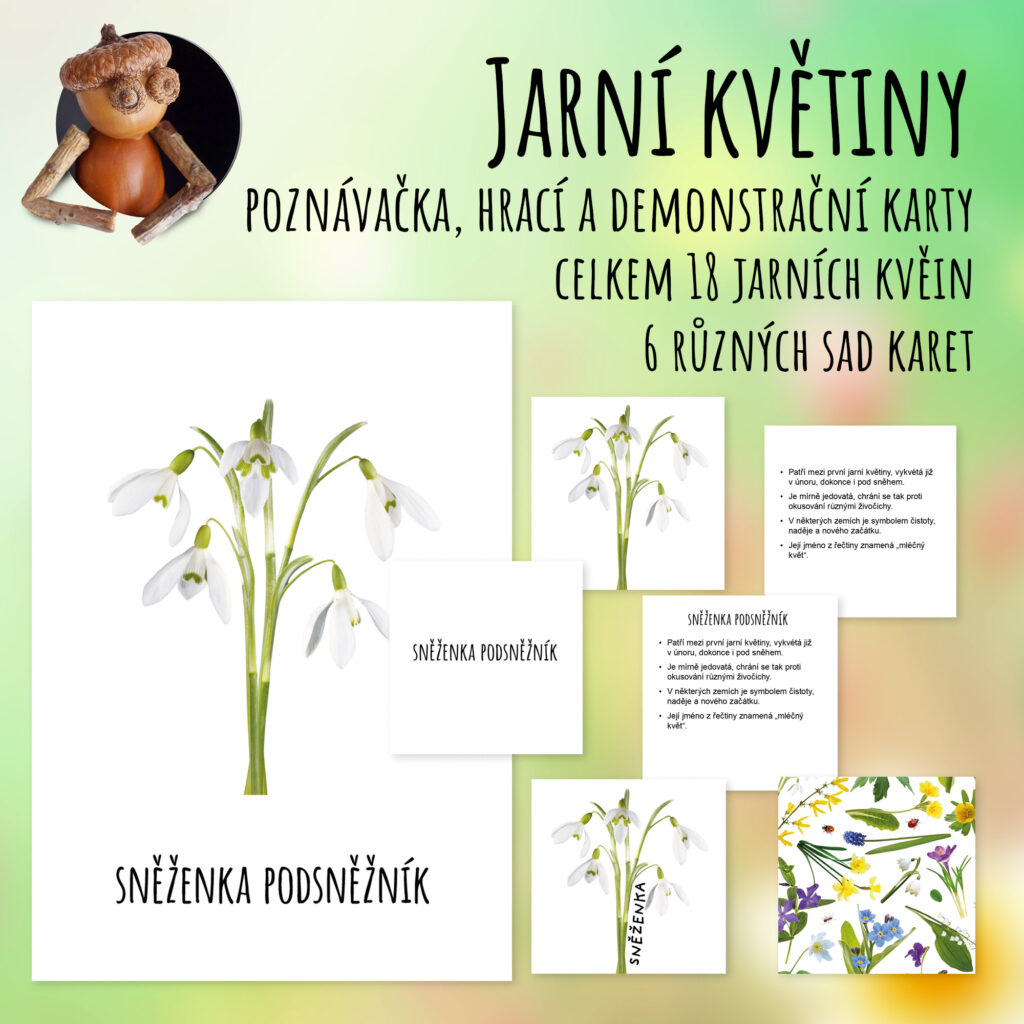 Jarní květiny - poznávačka, hrací a demonstrační karty
