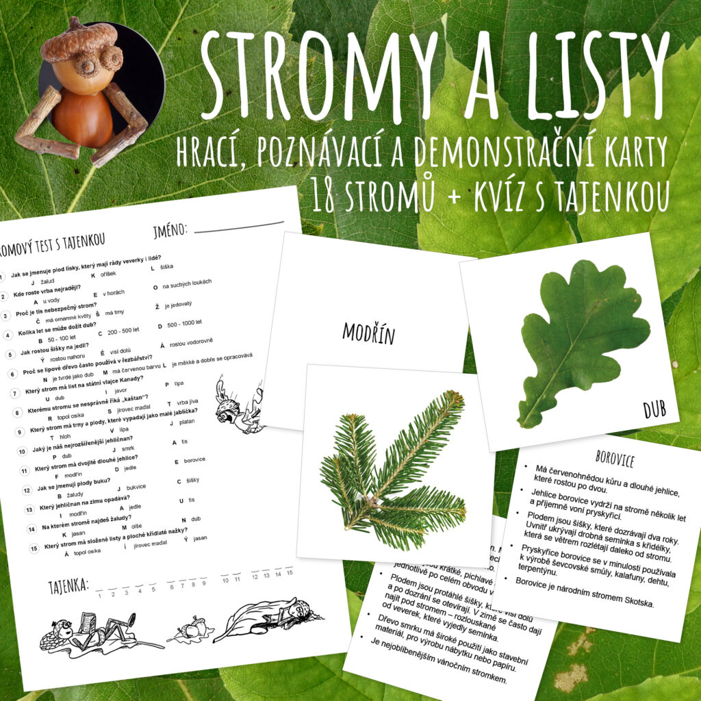 Stromy a listy - hrací, poznávací a demonstrační karty + kvíz s tajenkou