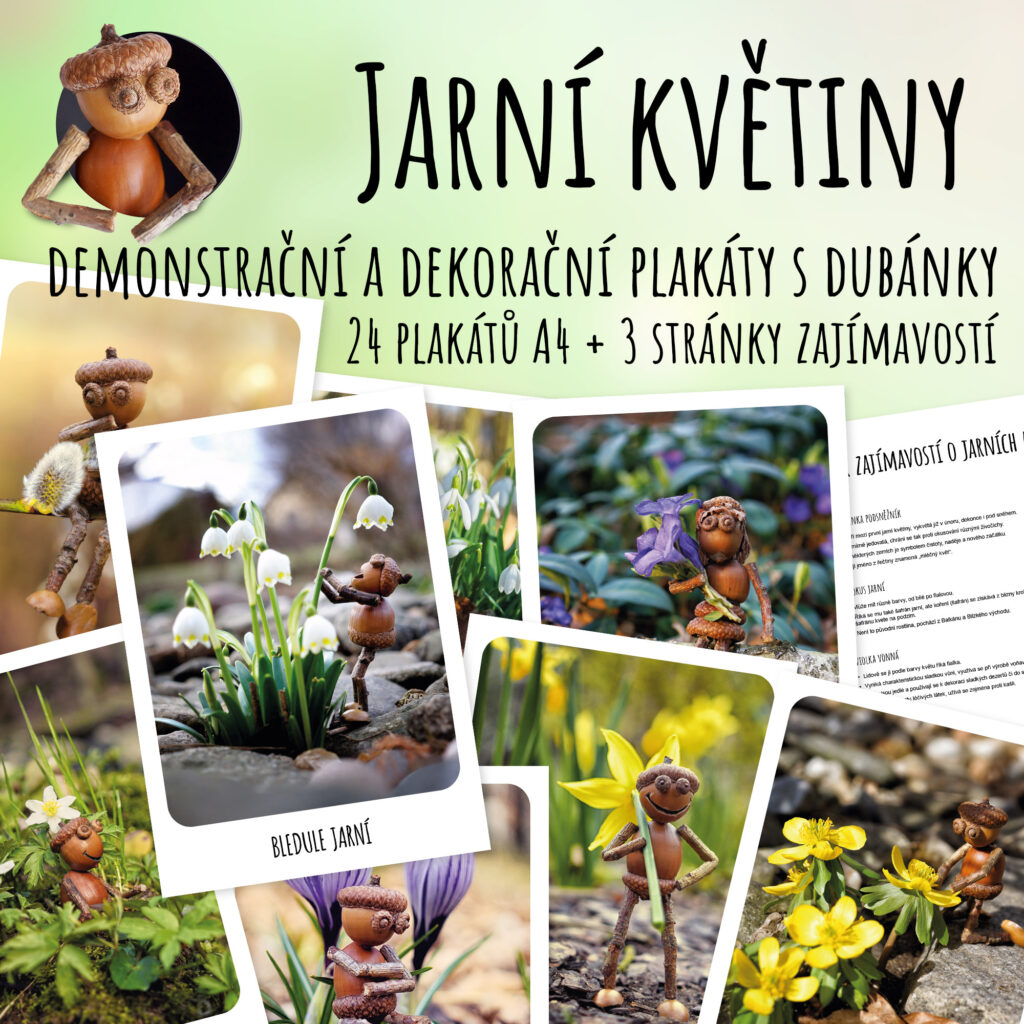 Jarní květiny - demonstrační a dekorační plakáty s dubánky