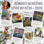 Zajímavosti na nástěnku: Světové dny – květen a červen